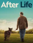 After Life (2019) — TV series poster