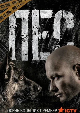 Dog (2015) — TV series poster