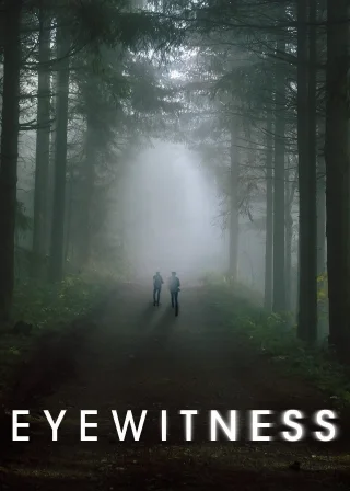 Eyewitness (2016) — TV series poster