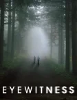 Eyewitness (2016) — TV series poster