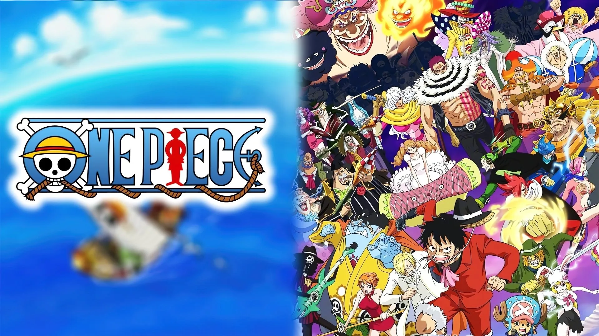 One Piece backdrop