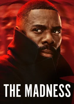The Madness (2024) — TV series poster