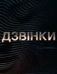 Дзвінки (2021) — постер серіалу