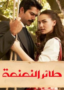 Çalıkuşu (2013) — постер серіалу