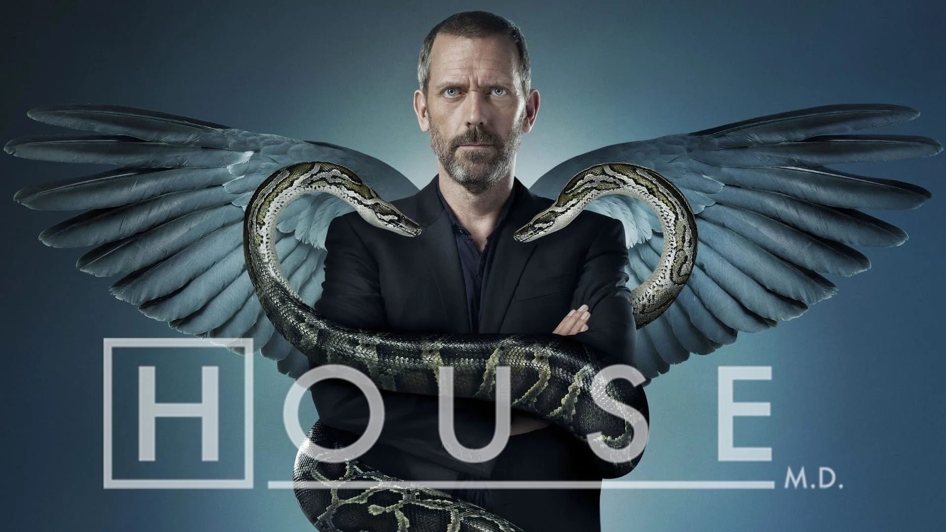 House backdrop