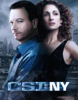 CSI: NY (2004) — TV series poster