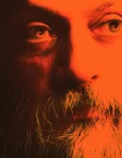 Wild Wild Country (2018) — постер серіалу
