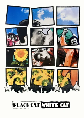Black Cat, White Cat (1998) — movie poster