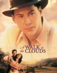A Walk in the Clouds (1995) — movie poster