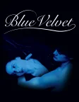 Blue Velvet (1986) — movie poster
