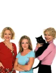 Sabrina, the Teenage Witch (1996) — постер серіалу