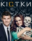 Bones