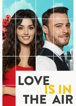 Love Is in the Air (2020) — TV series poster