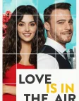 Love Is in the Air (2020) — TV series poster