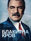 Блакитна кров (2010) — постер серіалу