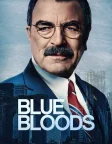 Blue Bloods (2010) — TV series poster