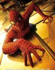 Spider-Man (2002) — movie poster