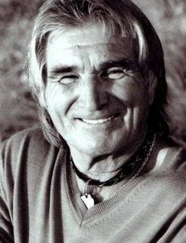 Vojislav Govedarica