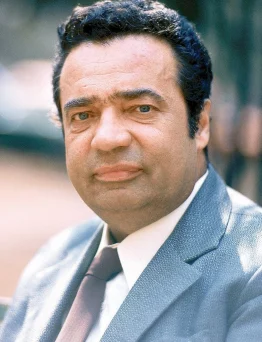 Vladimír Menšík