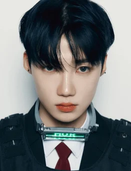 뉴