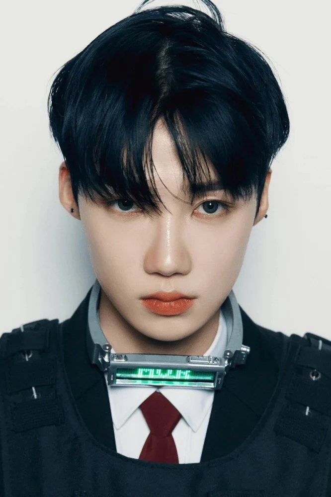 뉴