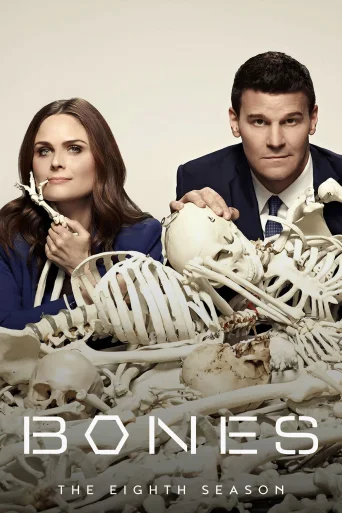 Season 8