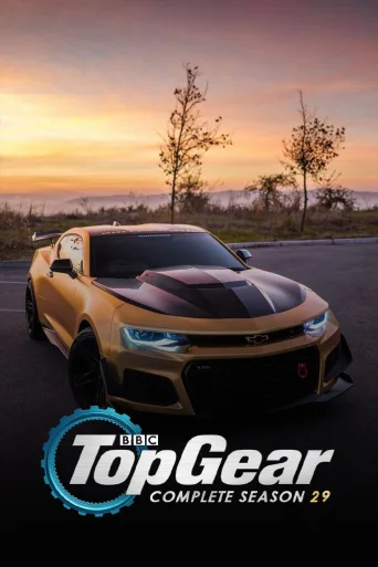 Series 29