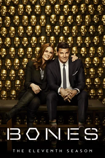 Season 11