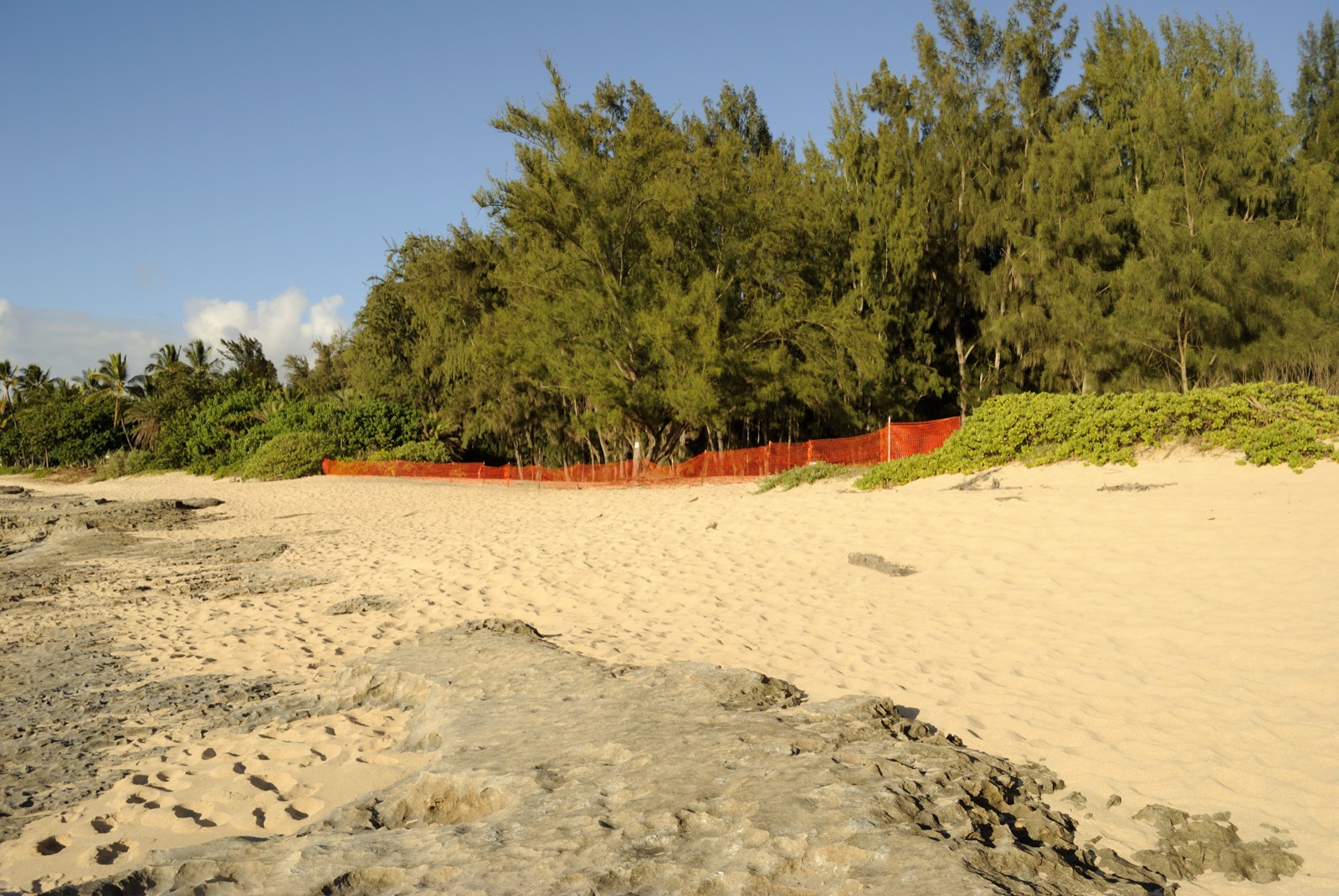 Papailoa Beach on Oʻahu, where the Lost survivors’ beach camp was filmed.